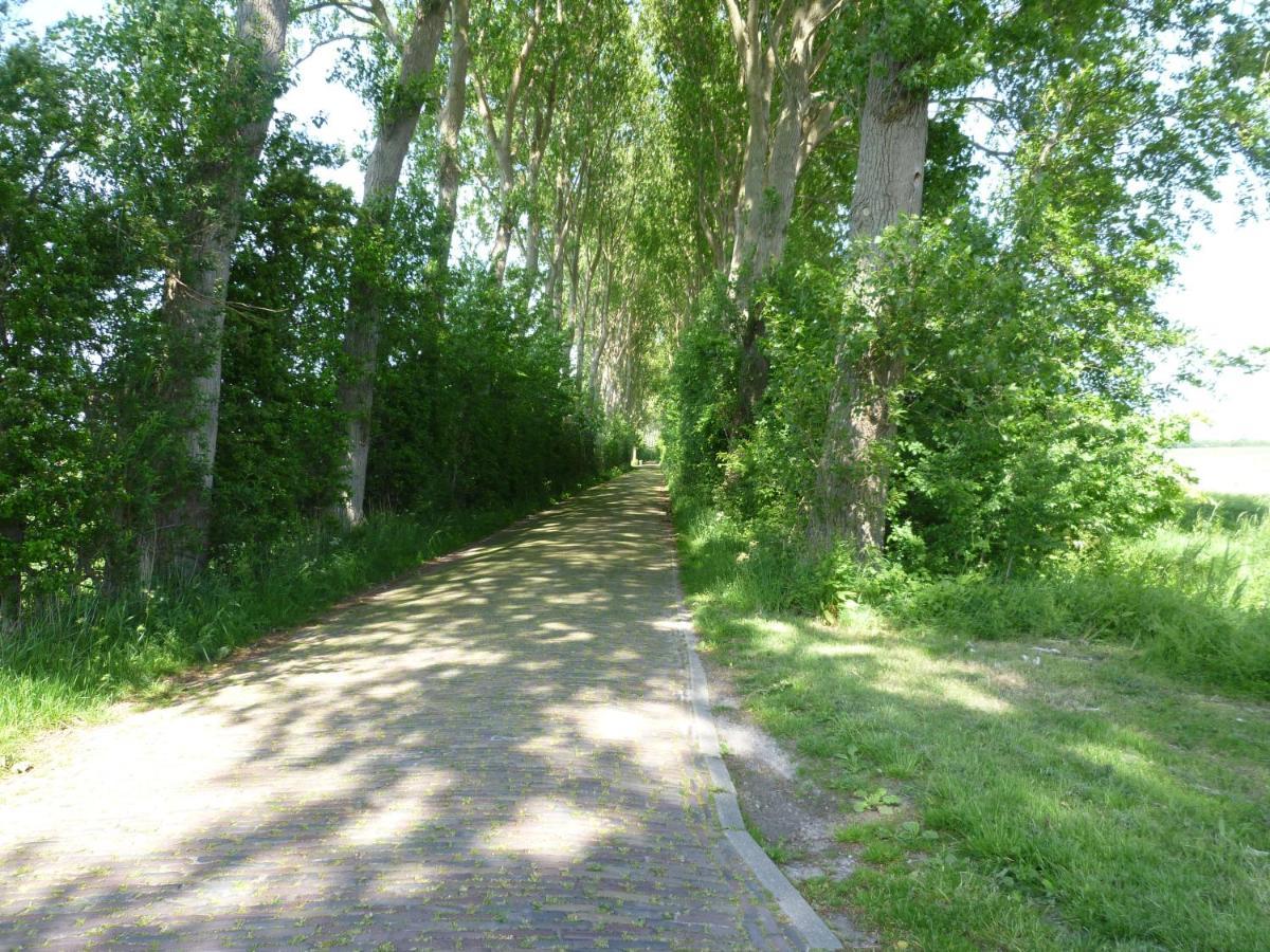 Vakantiewoning Domburg Do31 Экстерьер фото